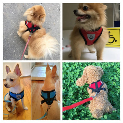 Adjustable Mesh Dog Harness for Small Pets