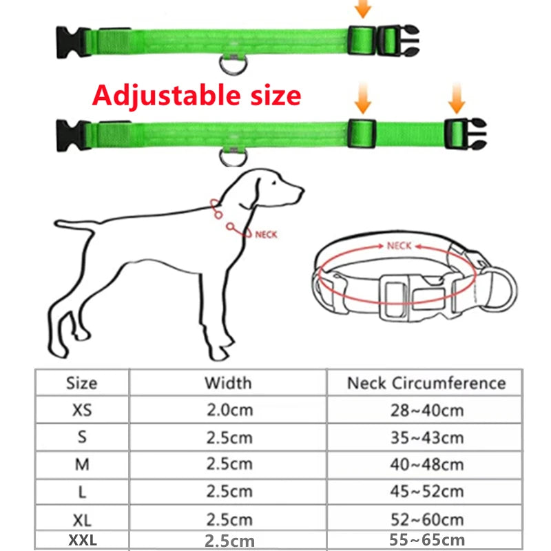Rechargeable LED Glow Collar: Nighttime Safety for Small Dogs