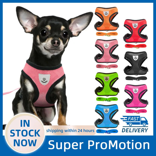 Adjustable Mesh Dog Harness for Small Pets