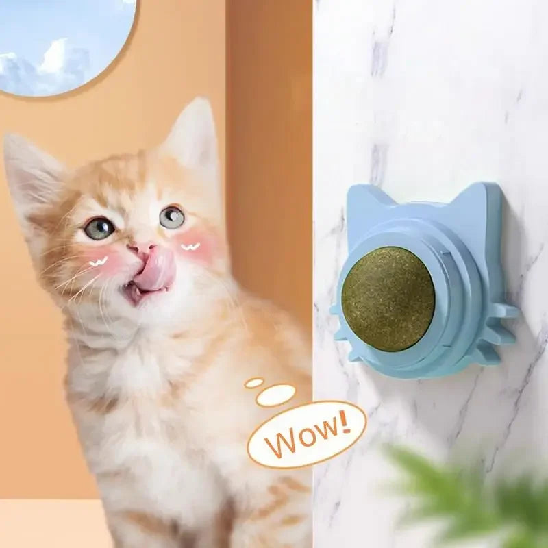 Funny Catnip Balls: Irresistible Snack & Toy for Cats